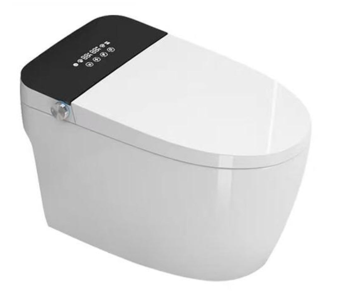 Smart Toilet  - Toilet with built in BIDET