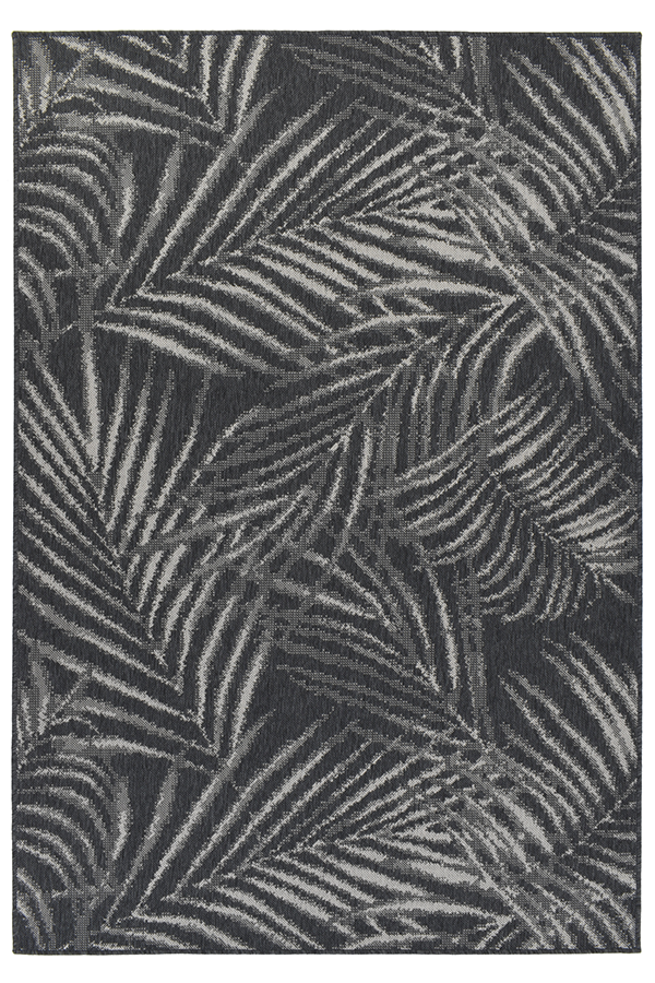 ARECA GREY